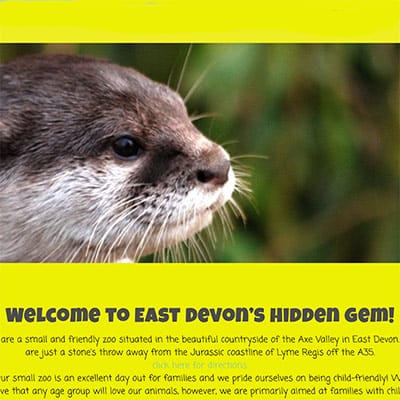 Axe-Valley-Wildlife-Park-Devon