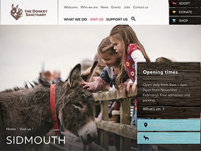 Donkey-Santuary-Devon