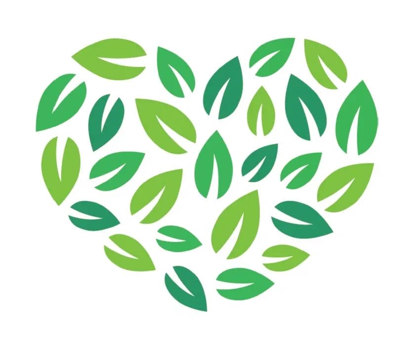 Eco Friendly Holiday Park